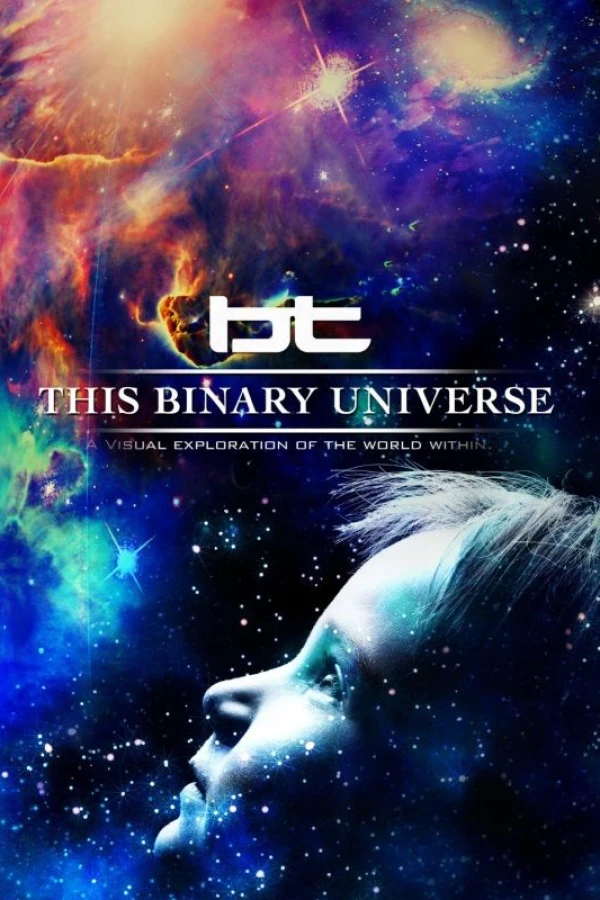 This Binary Universe Afis